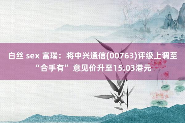 白丝 sex 富瑞：将中兴通信(00763)评级上调至“合手有” 意见价升至15.03港元