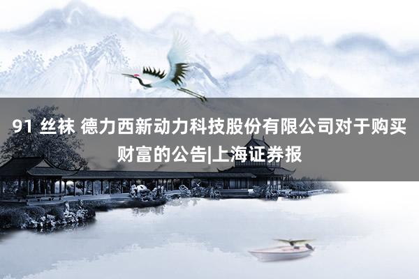 91 丝袜 德力西新动力科技股份有限公司对于购买财富的公告|上海证券报