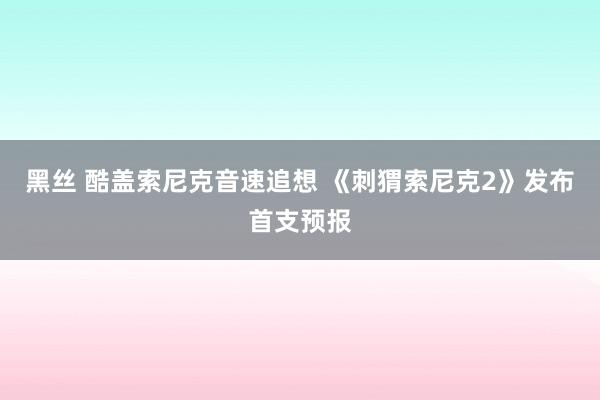 黑丝 酷盖索尼克音速追想 《刺猬索尼克2》发布首支预报