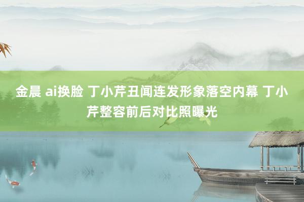 金晨 ai换脸 丁小芹丑闻连发形象落空内幕 丁小芹整容前后对比照曝光