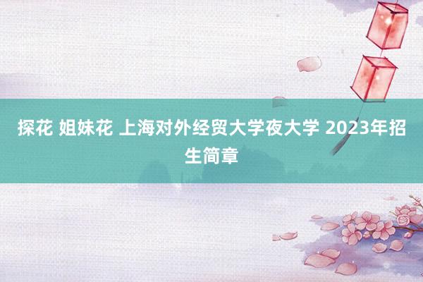 探花 姐妹花 上海对外经贸大学夜大学 2023年招生简章