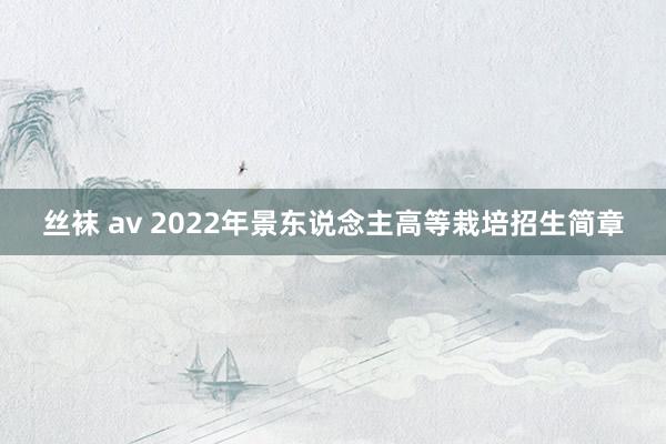 丝袜 av 2022年景东说念主高等栽培招生简章