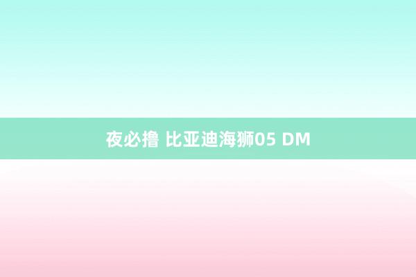 夜必撸 比亚迪海狮05 DM