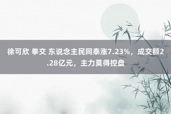 徐可欣 拳交 东说念主民同泰涨7.23%，成交额2.28亿元，主力莫得控盘