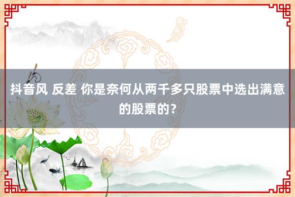 抖音风 反差 你是奈何从两千多只股票中选出满意的股票的？