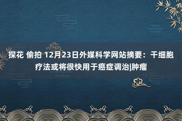 探花 偷拍 12月23日外媒科学网站摘要：干细胞疗法或将很快用于癌症调治|肿瘤